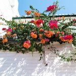 The Most Instagrammable Flower Walls in London - The Stay Club